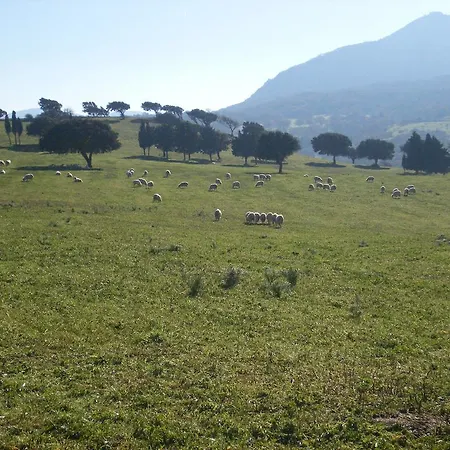 Usurtala مزرعة للإقامة Orani